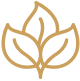 icon2